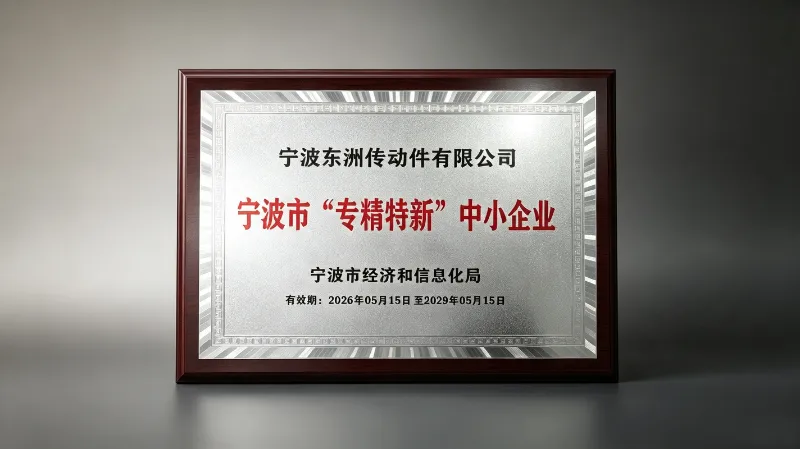 Ningbo Dongzhou Transmission Co., Ltd. ha ottenuto lo status di PMI 